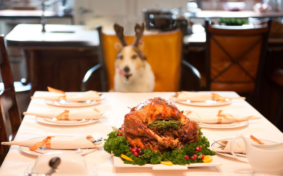 Thanksgiving “Dos and Don’ts” for Pets!