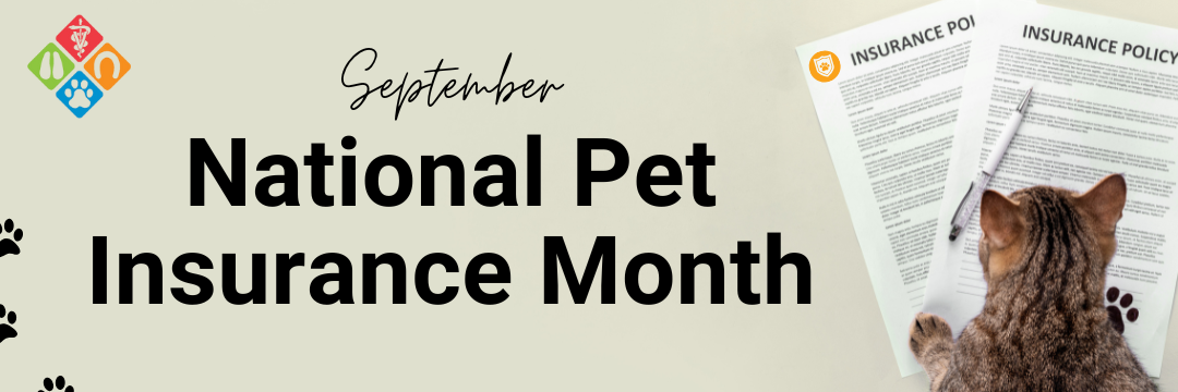 Pet Insurance: Peace of Mind for You and Your Pet